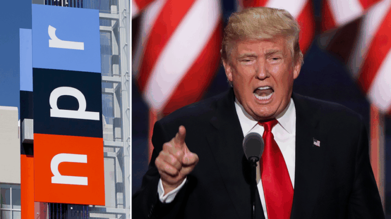 'Bold and fearless': Trump launches new wave of judicial nominations