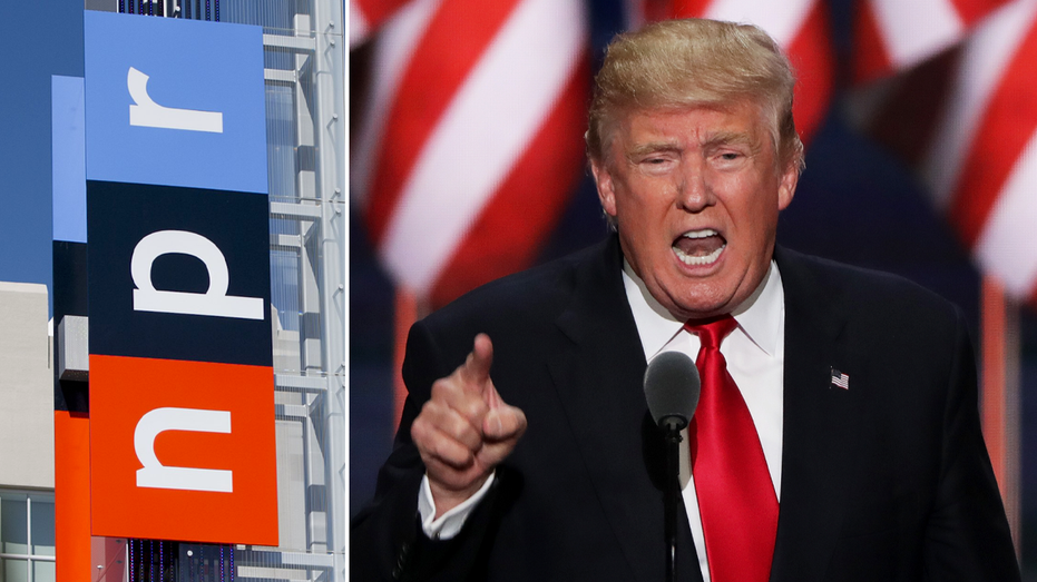 'Bold and fearless': Trump launches new wave of judicial nominations