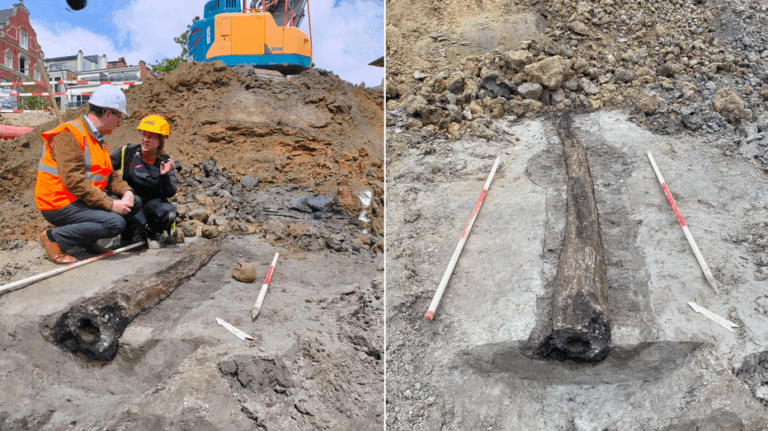 Archaeologists unearth miraculously well-preserved wooden remnant of Ancient Roman town