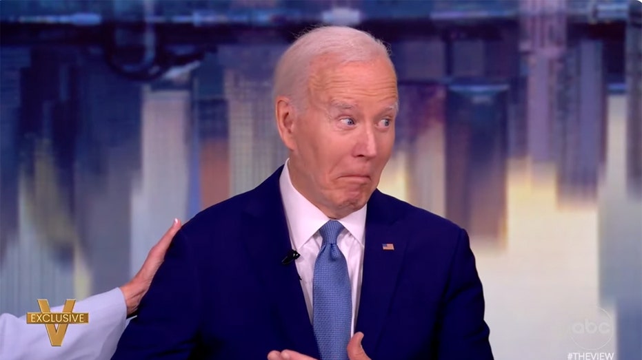 Democrats seethe over Biden's return to public eye: report