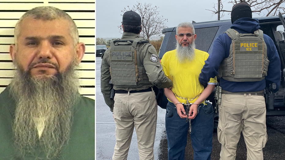 ICE arrests ‘criminal alien’ released from prison with sex crimes conviction: 'He won’t be welcome back'
