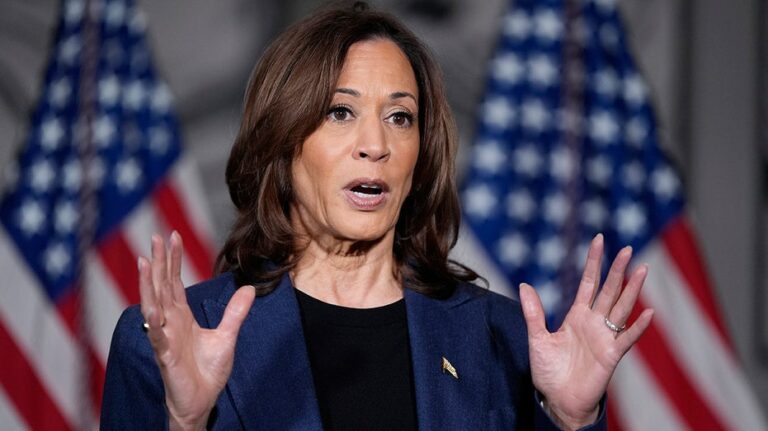 Kamala Harris tells audience to 'remember history,' warns current era parallels 'the 1930s'