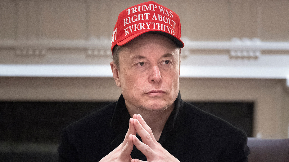 Elon Musk's official role at Trump's DOGE ends, but his political impact lingers ahead of midterms