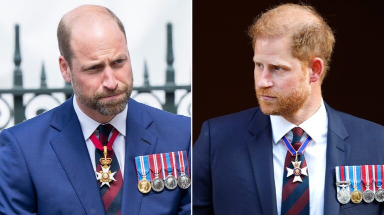 Prince Harry’s betrayal driving Prince William to protect kids from heir-and-spare nightmare: expert