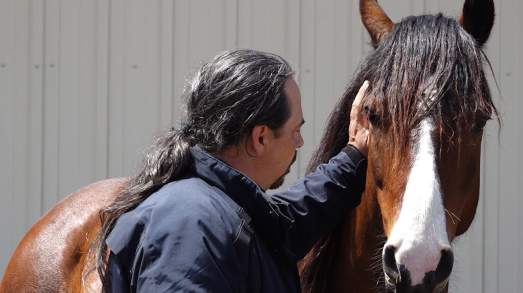 Horse therapy helps heal veterans
