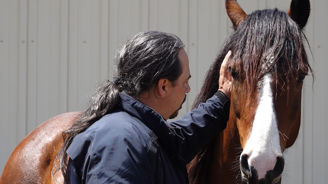 Horse therapy helps heal veterans
