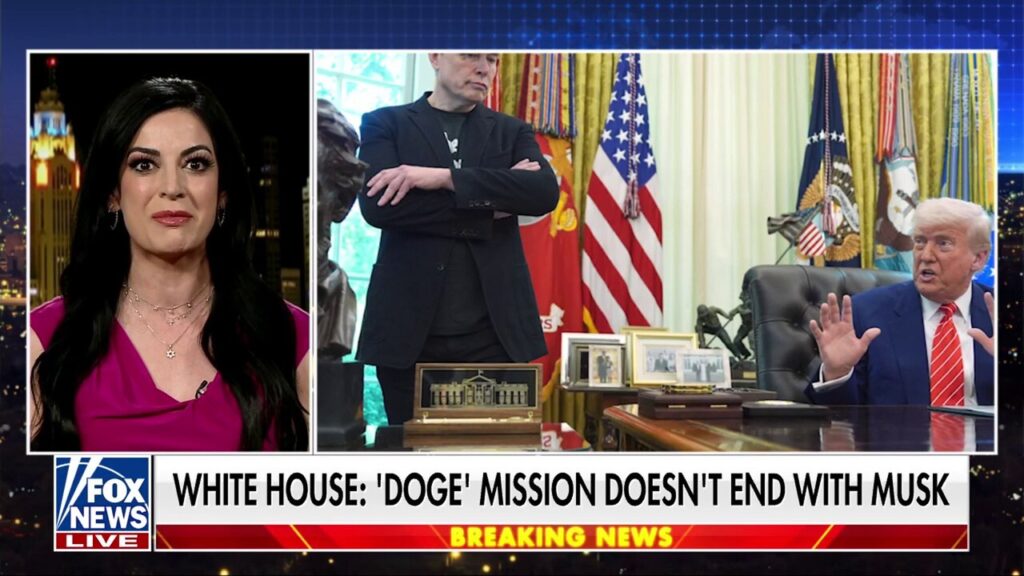 Elon Musk had to 'outmaneuver the entrenched Democrats' in DC: Attorney