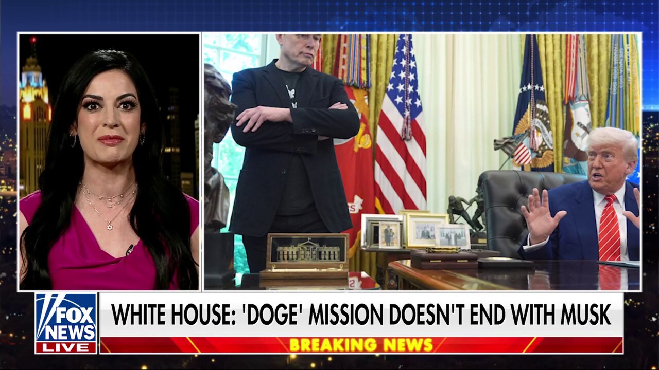 Elon Musk had to 'outmaneuver the entrenched Democrats' in DC: Attorney