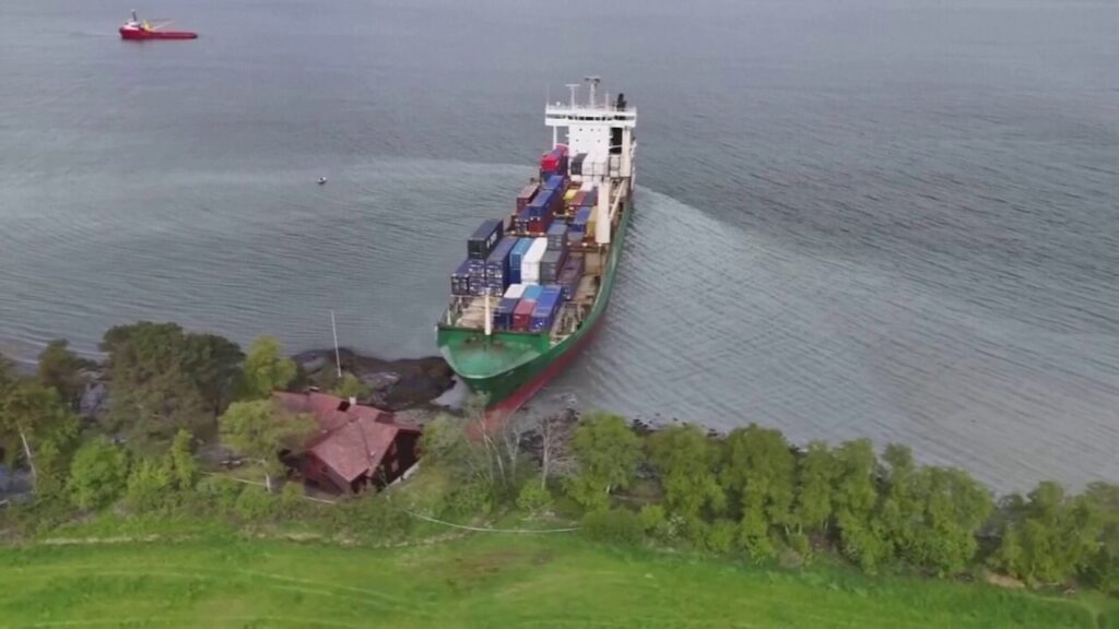 Man sleeps through giant container ship running aground in front of his home