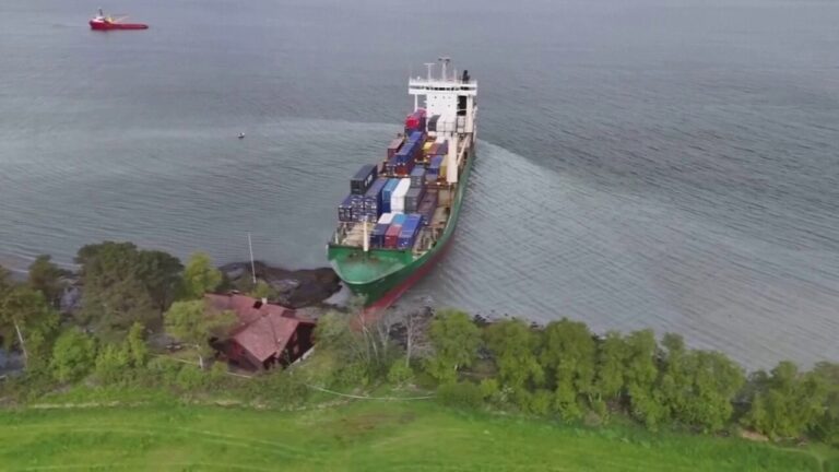 Man sleeps through giant container ship running aground in front of his home
