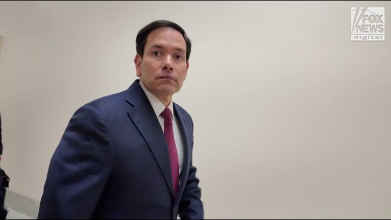 Marco Rubio unfazed by slew of Dems denouncing him: 'Doing a good job'