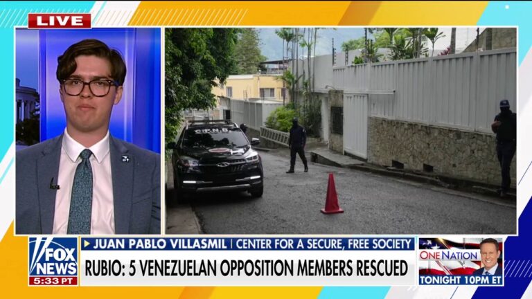 Rescue of Venezuelan opposition members an 'Argo-like operation': Juan Pablo Villasmil