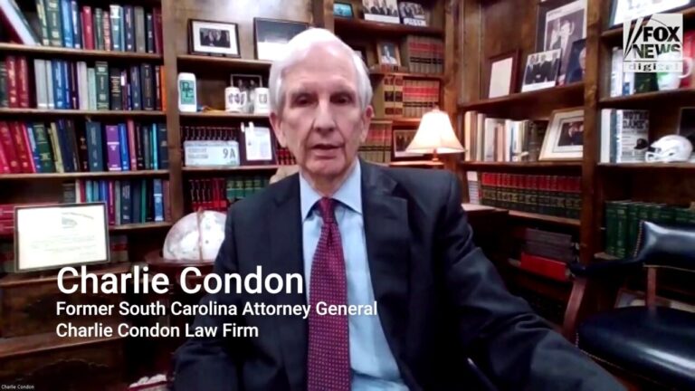 Six illegal immigrants charged in South Carolina mother's murder that 'shocks the conscience': former SC attorney general