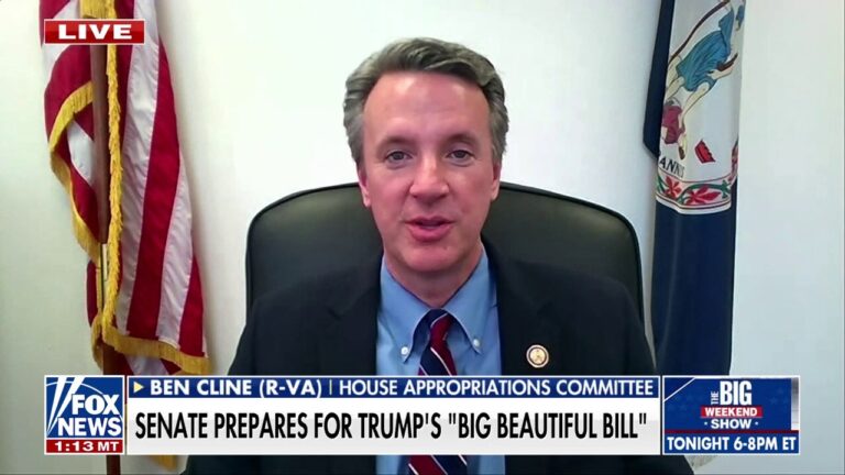 There’s a lot in the 'big, beautiful bill' for hardworking Americans, GOP representative says
