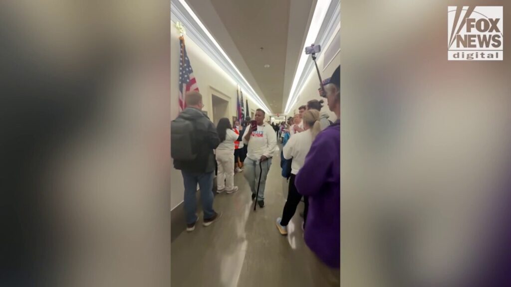 Leftist protesters flood US Capitol hallway