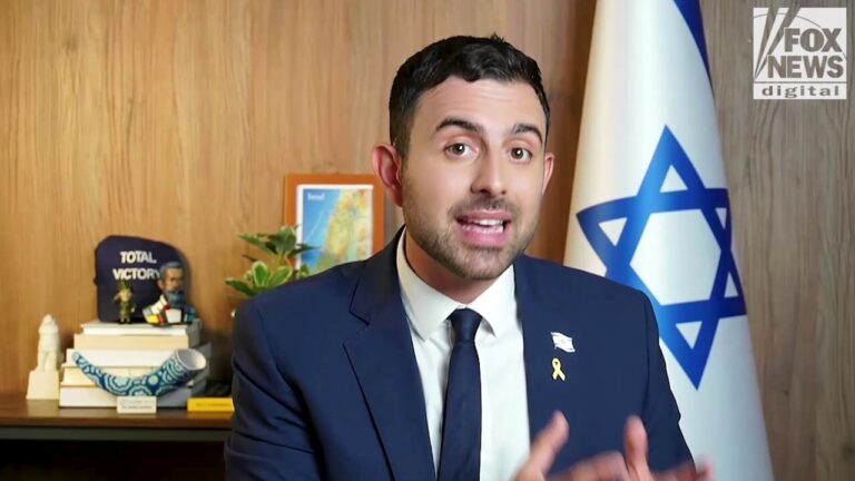 Former Israeli government spokesperson speaks about difficulty of conflicting goals