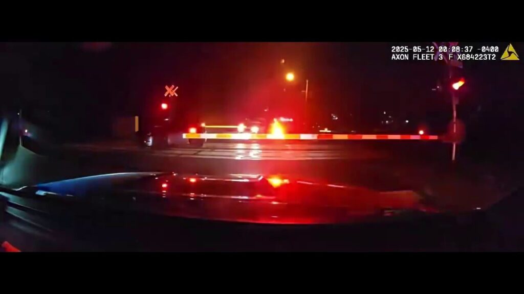 Hero cops drag dazed driver from car before speeding train smashes into it