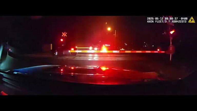 Hero cops drag dazed driver from car before speeding train smashes into it