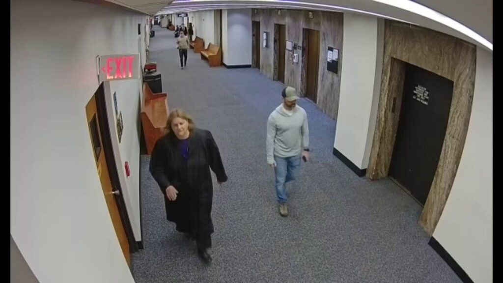 Wisconsin judge accused of helping illegal immigrant evade ICE seen allegedly distracting agents in new video