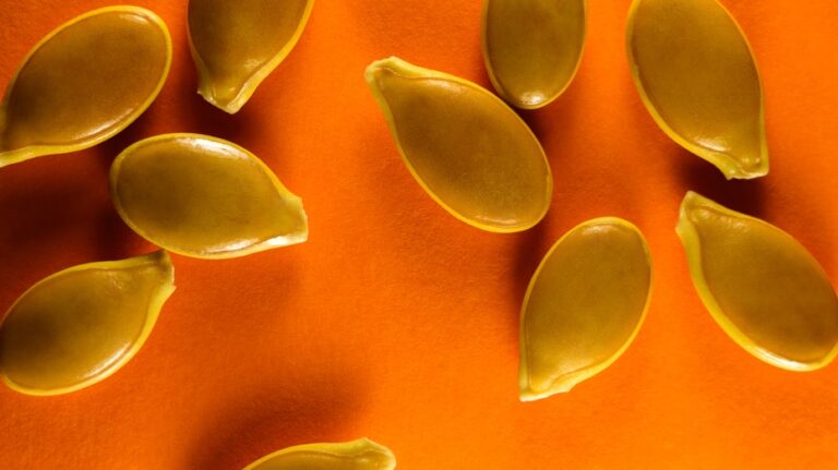 Jumbo pumpkin seeds from Canada could be contaminated with salmonella