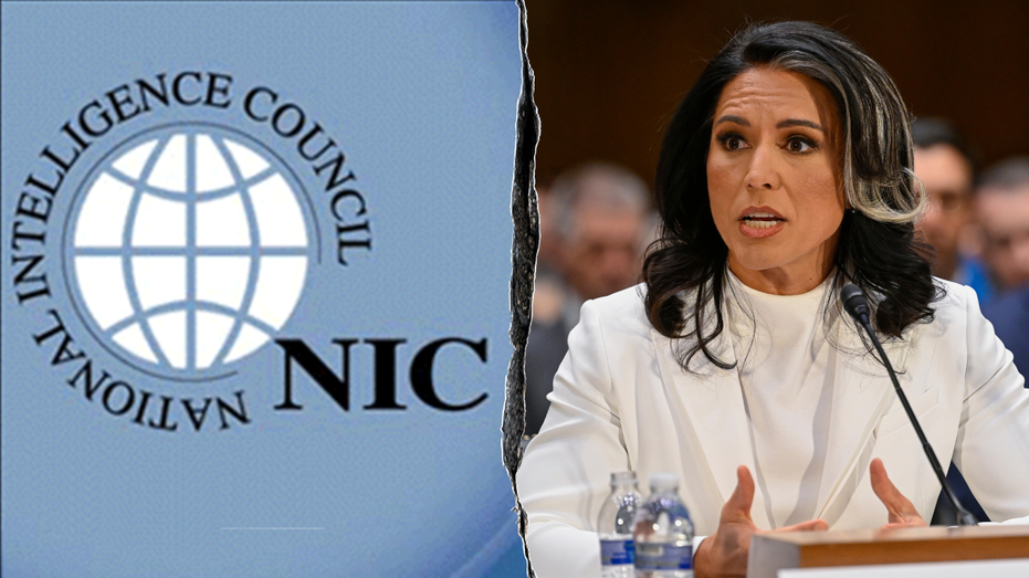 Gabbard fires 'deep state' heads of National Intelligence Council to root out 'politicization of intel'