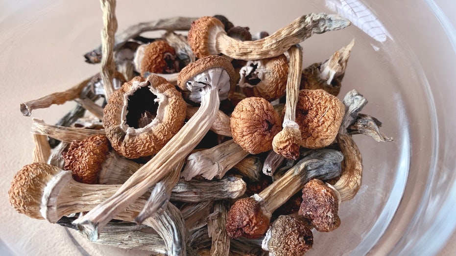 Parkinson's patients who take 'magic mushrooms' see key benefits, study finds