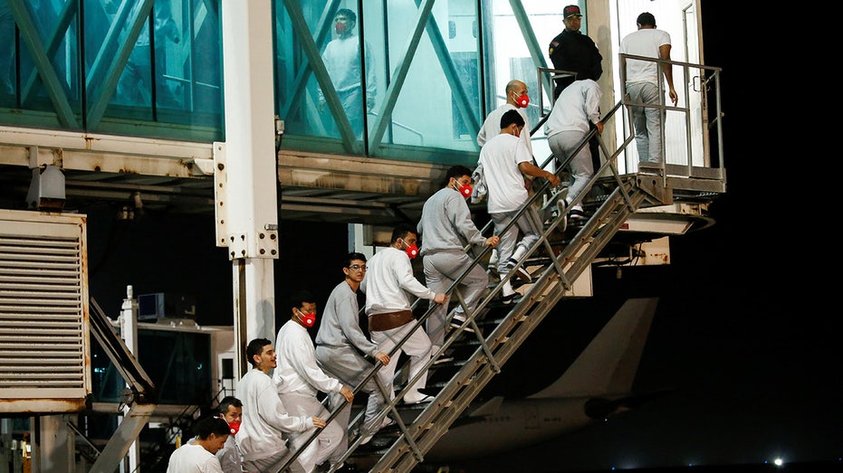 Trump admin working to fly back Guatemalan migrant erroneously deported from US