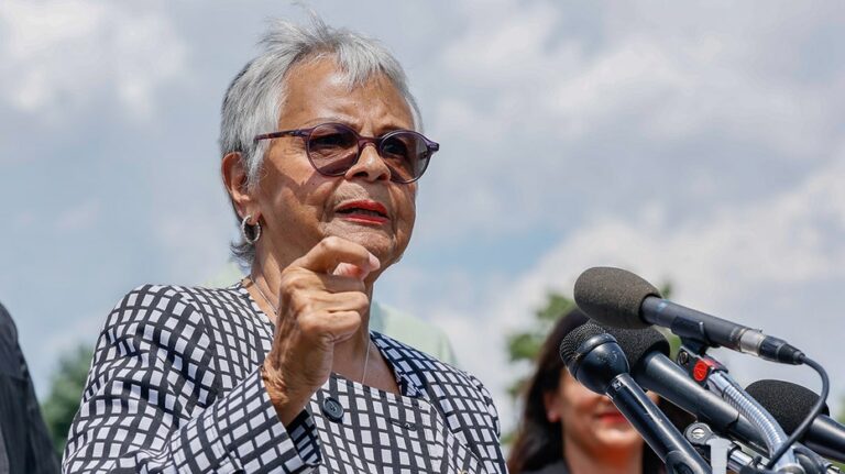 Dem lawmakers defend ‘storming’ of ICE facility, say Trump admin is ‘lying at all levels’