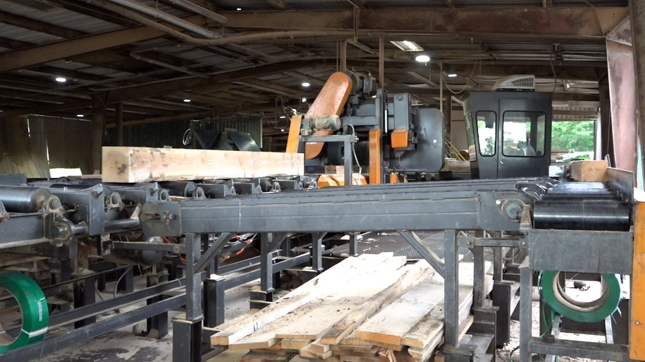 Sawmills act to relieve wildfire threat from Hurricane Helene debris