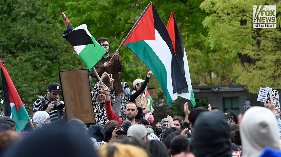Self-proclaimed 'Jew hater' pleads guilty after targeting victims at NYC protests