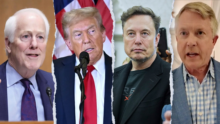 WATCH: Republican senators react to Elon v. Trump feud: ‘He’s not the CEO here’