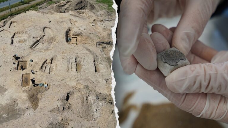 Viking-era burial site with elite family treasures and gifts discovered, plus an 'unusual casket'