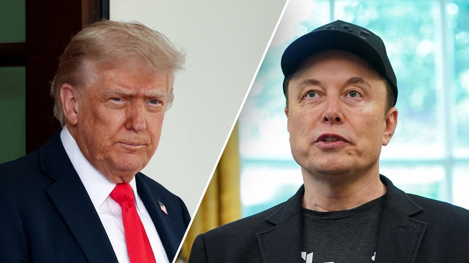 Logan Paul makes push for Donald Trump and Elon Musk WWE-style faceoff