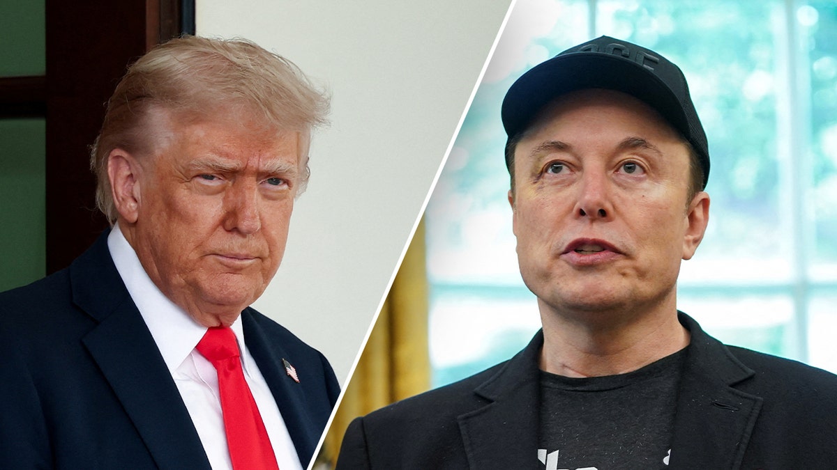 VICTOR DAVIS HANSON: Trump and Musk need to reconcile for the sake of America’s future