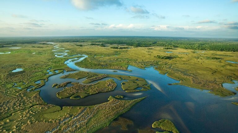 Florida building 'Alligator Alcatraz' where ICE detainees face nature's own security system