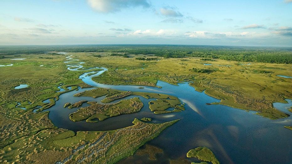 Florida building 'Alligator Alcatraz' where ICE detainees face nature's own security system