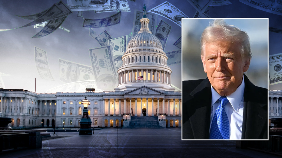 GOP unveils new weapon to help slash billions in government waste as Republicans rally behind Trump's plan