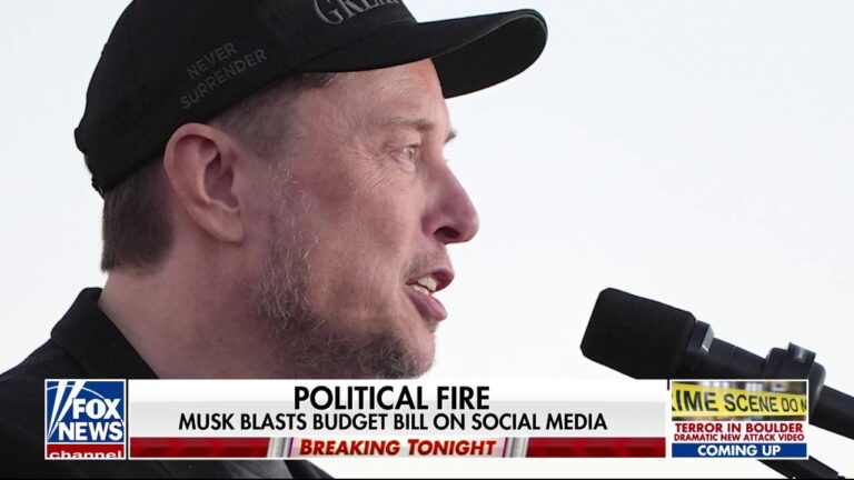 Congressional Republicans and Elon Musk face hang-up over 'big, beautiful bill'