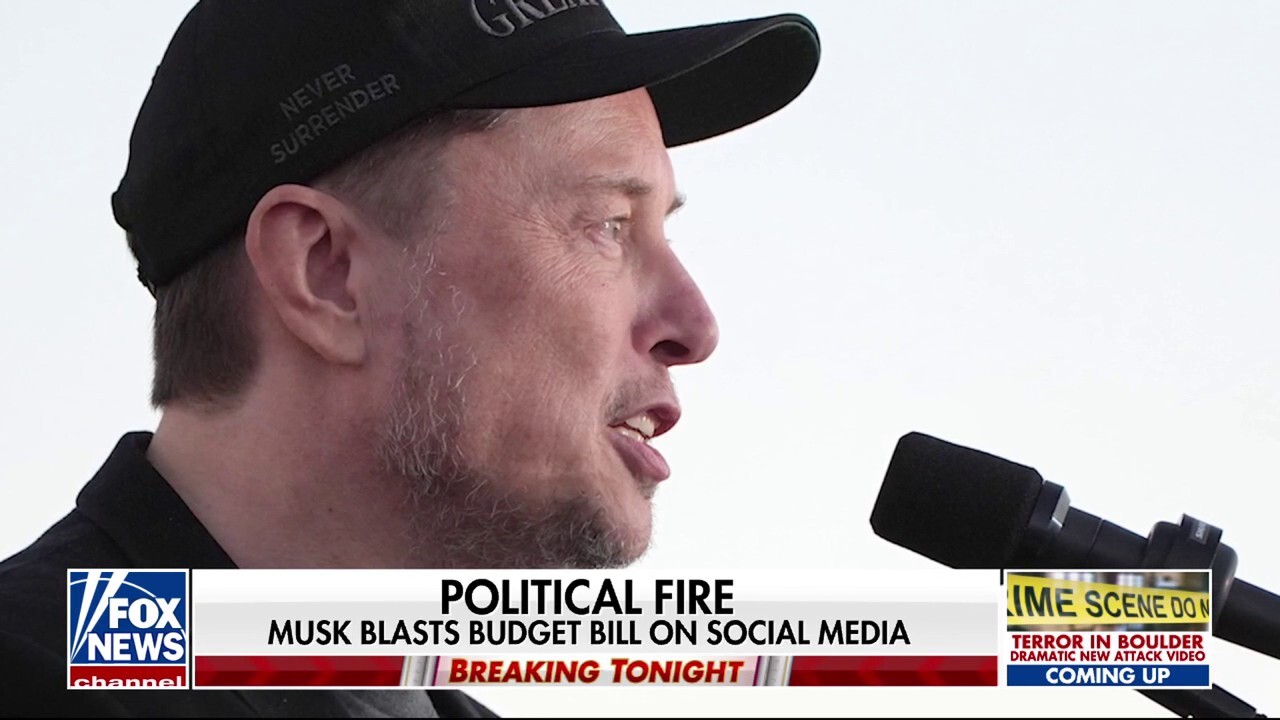 Congressional Republicans and Elon Musk face hang-up over 'big, beautiful bill'