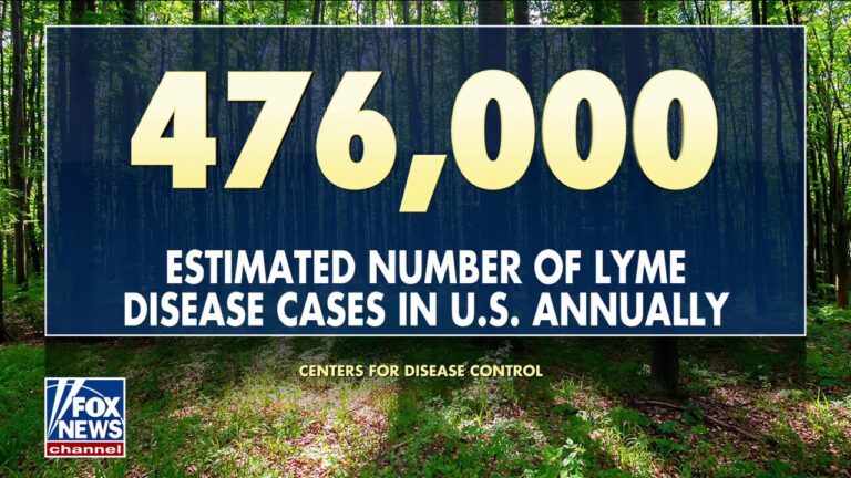 Health officials warn of increased risk from ticks, tick-borne diseases