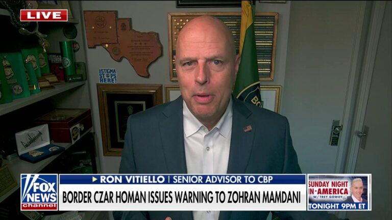 Trump is in 'full effect' at the southern border, says former ICE director