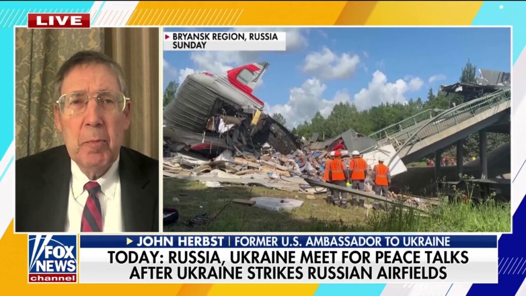Ukraine's drone strike is a 'great strategic benefit' to the US, John Herbst says