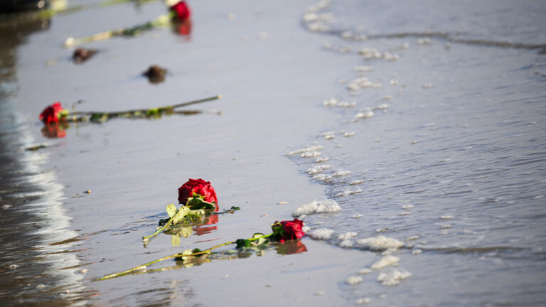 WATCH LIVE: American and allied veterans honored at D-Day ceremony at Utah Beach