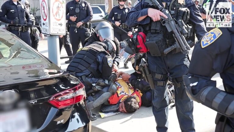 Anti-ICE rioters in Los Angeles clash with police
