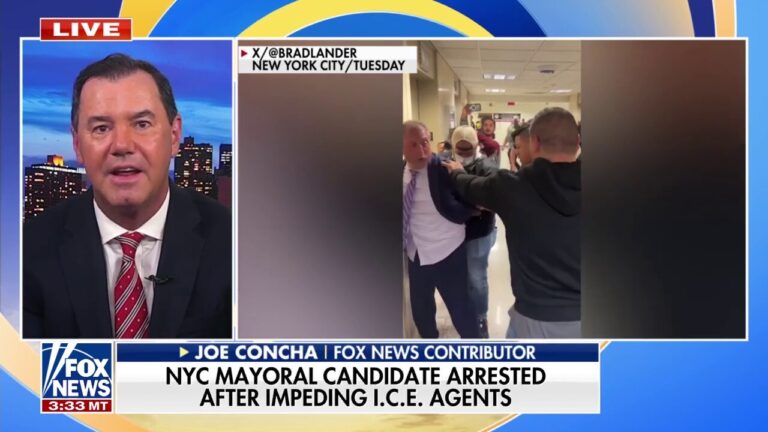 Dems mocked after NYC mayoral candidate arrested for impeding ICE agents: 'Cheesy performance art'