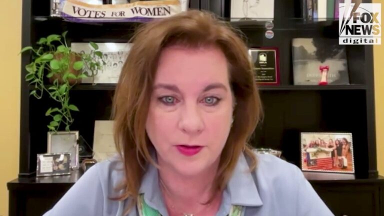 Pro-life movement confronts new challenges three years after Dobbs