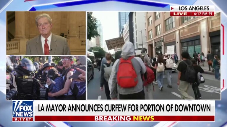 Sen. Kennedy on anti-ICE riots: 'This is why the aliens won't talk to us'
