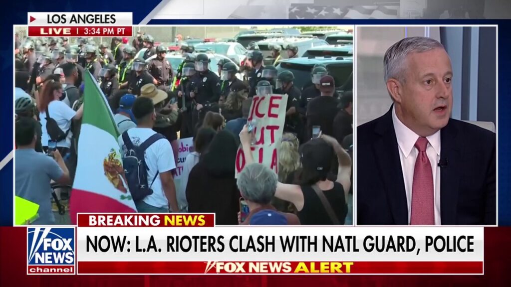 Democratic leadership is 'pushing people' to attack ICE, says RNC chair