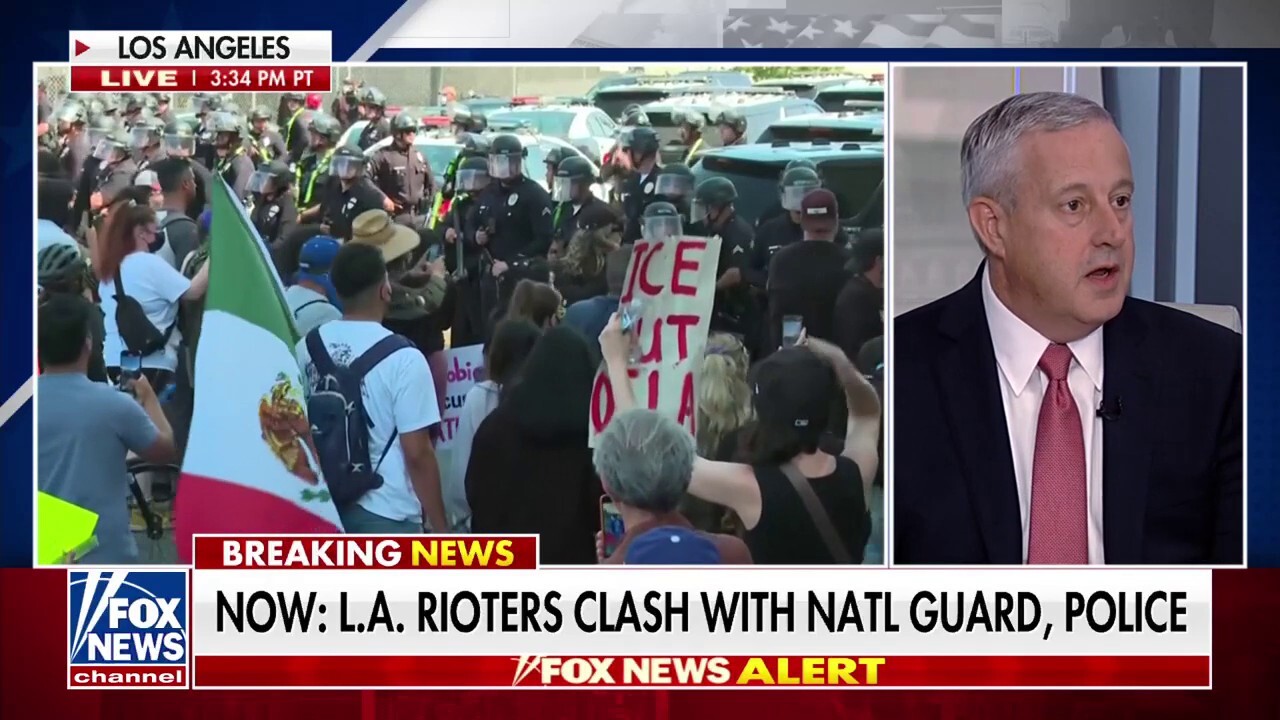Democratic leadership is 'pushing people' to attack ICE, says RNC chair