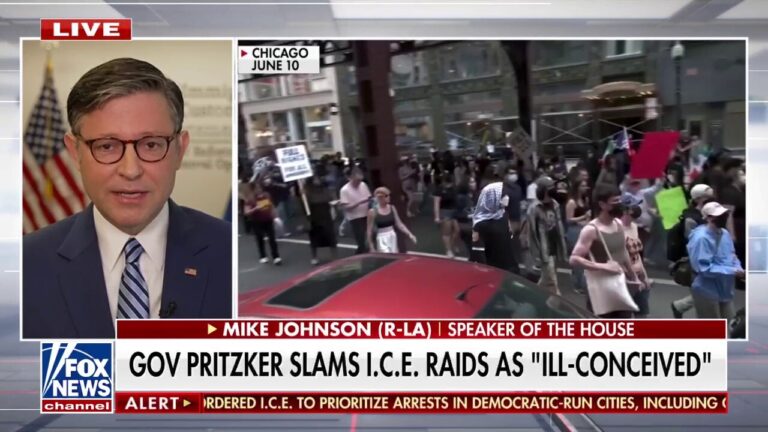 Speaker Johnson praises 'understaffed, overwhelmed' ICE agents for deportation numbers